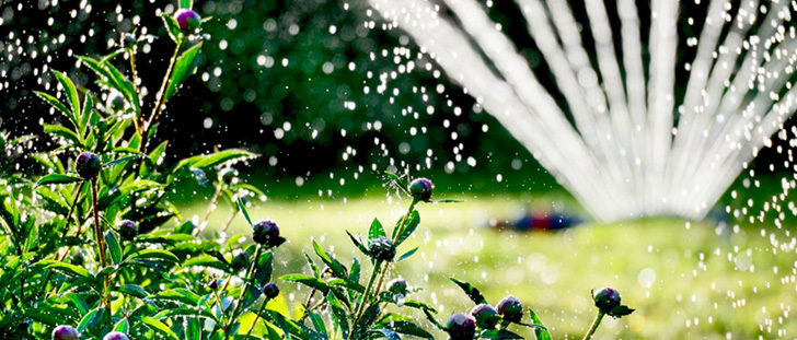 pompe per l'irrigazione