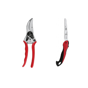 Forbice Felco 11 + Segaccio Felco 600-0