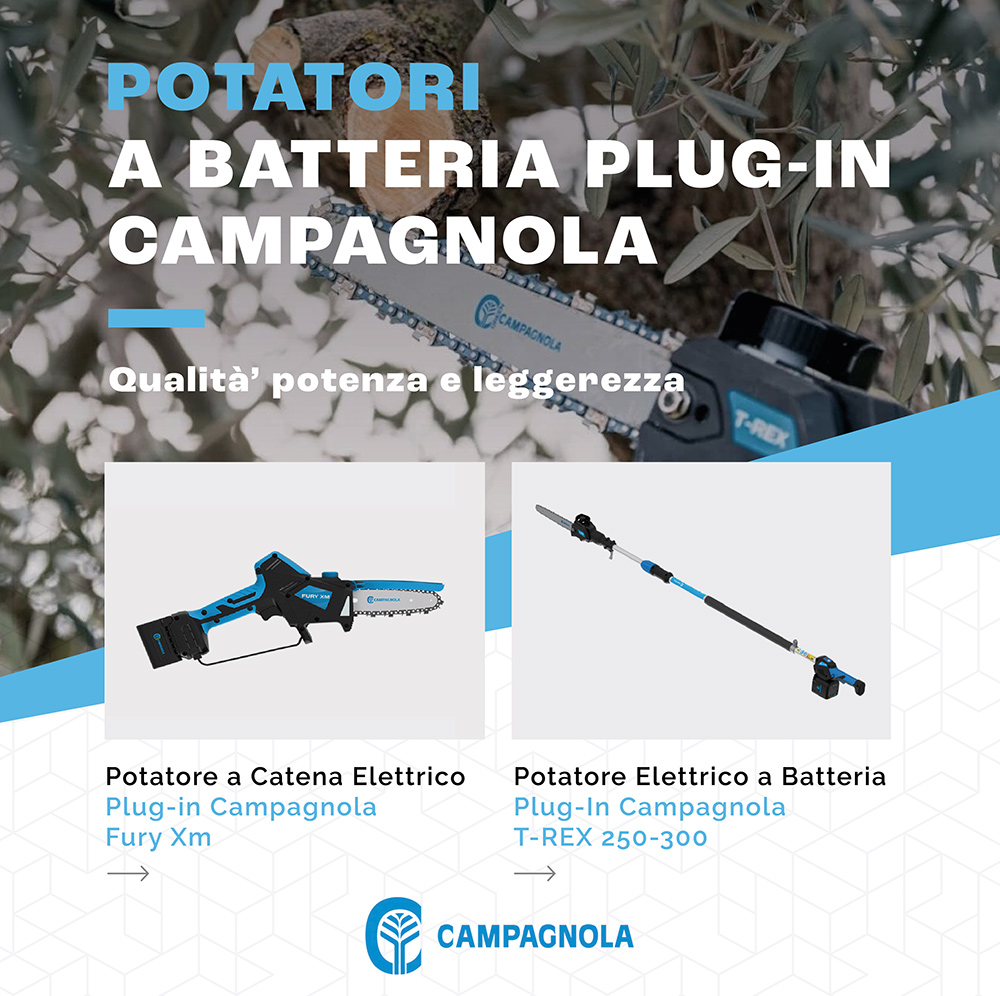Promo Potatori a Batteria Plug-in Campagnola - Mattolini Agrigarden