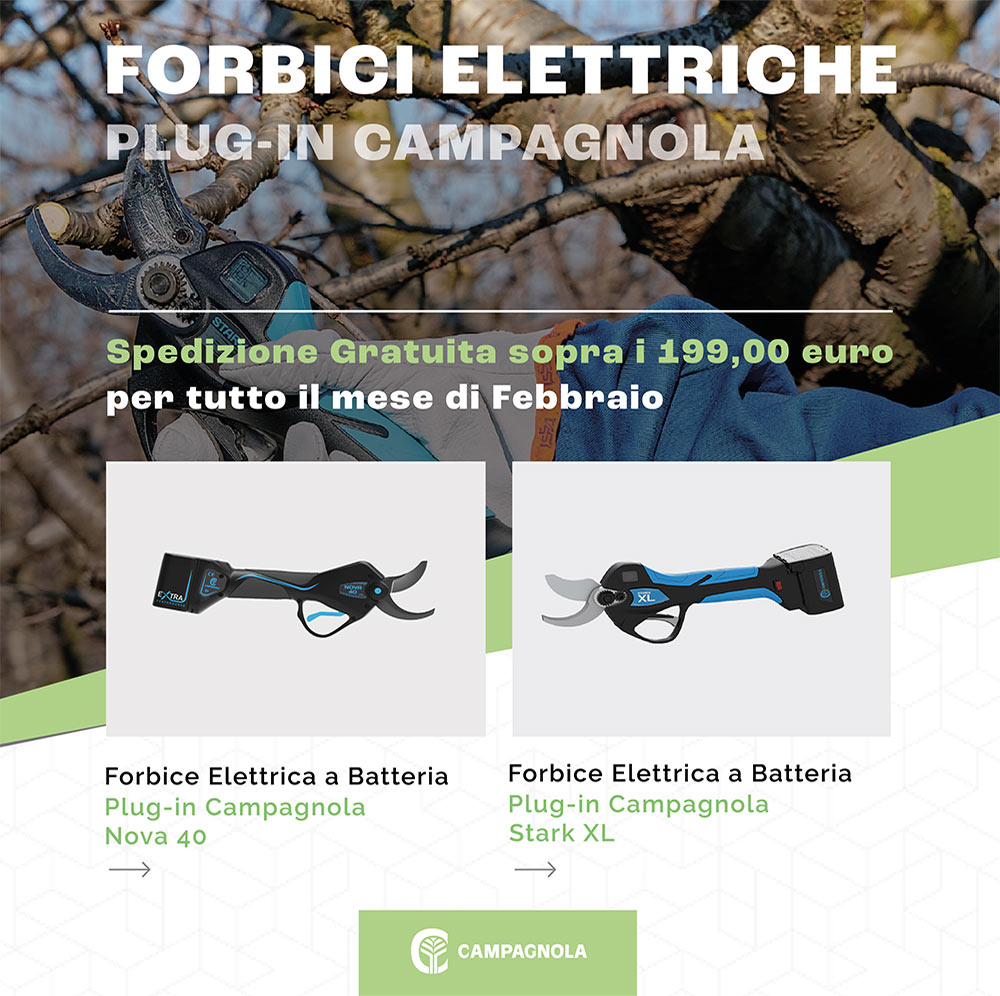 Forbici Elettriche a Batteria Plug-in Campagnola - Mattolini Agrigarden